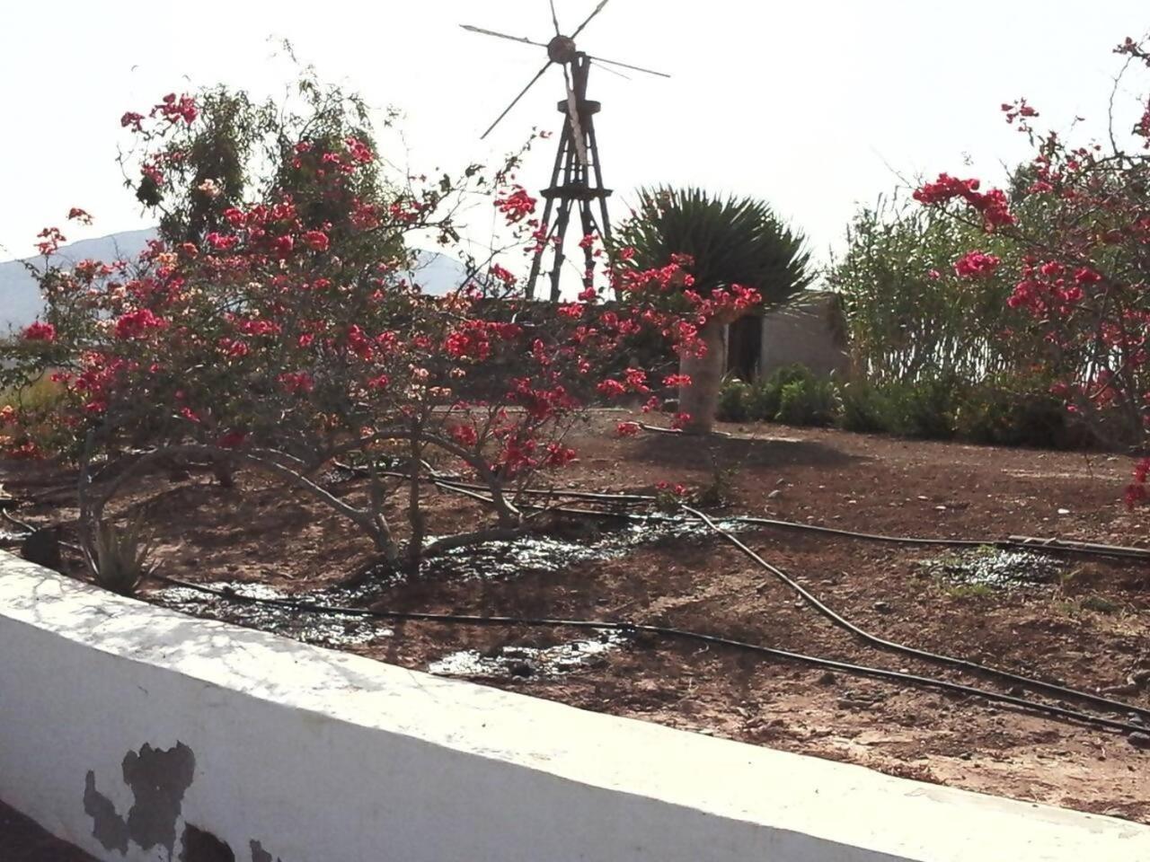 Rural Rugama Villa Puerto del Rosario  Buitenkant foto